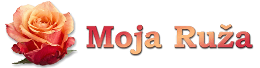 Moja Ruža